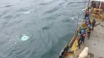 A New Thriller About an Amazing Rescue