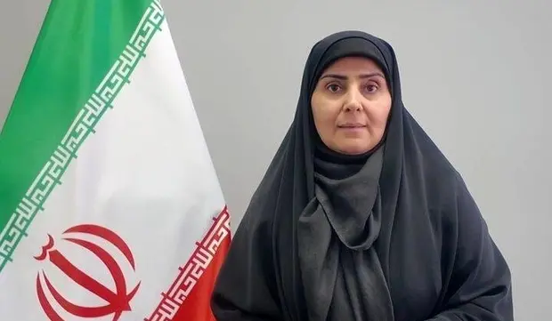 مستندات حملات به بنادر، به سازمان بین المللی دریانوردی ارسال می شود