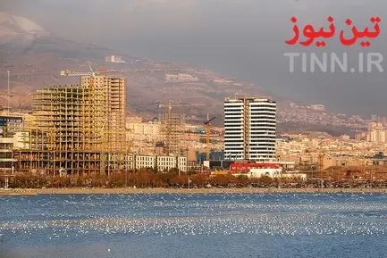تهران؛ میزبان «پرندگان سیبری»