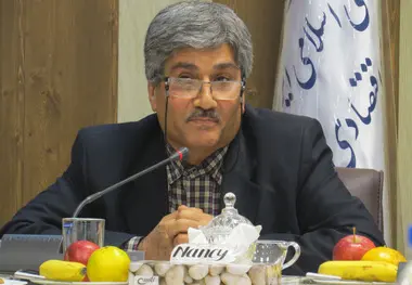 80درصدظرفیت استان قزوین بالقوه باقی است