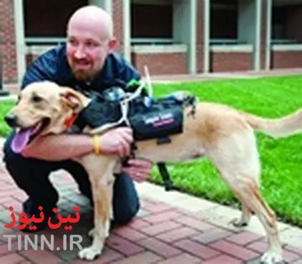 Working dogs equipped with high - tech tools