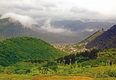 خریدار باید عاقل باشد! 