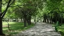 آماده سازی بوستان های شمال پایتخت برای شرایط اضطراری 