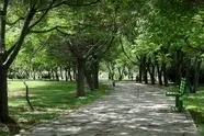 آماده سازی بوستان های شمال پایتخت برای شرایط اضطراری 
