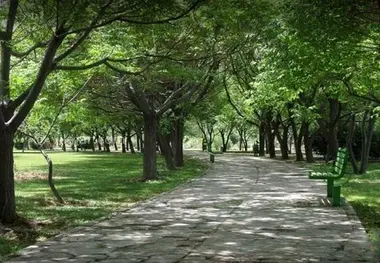 آماده سازی بوستان های شمال پایتخت برای شرایط اضطراری 