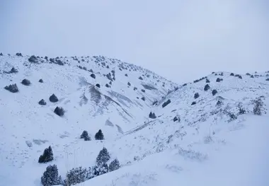 
بارش برف و باران در جاده‌های نیمی از استان‌های کشور
