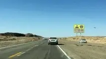 جاده ایمن ریسک تصادف را کاهش می‌دهد