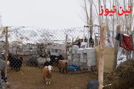 وضعیت زلزله زدگان بخش قطور شهرستان خوی