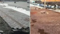پیشرفت 80 درصدی عملیات کف‌سازی محوطه ترمینال فرودگاه سهند