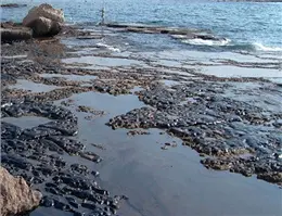 لزوم مدیریت یکپارچه برای آلودگی نفتی در سواحل خزر