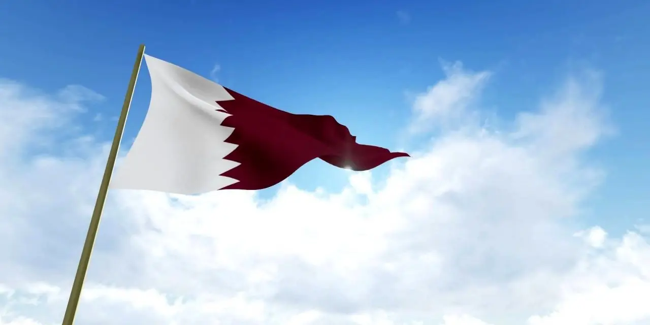 Qatar leaves OPEC, focuses on natural gas