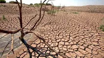 فاجعه در شمال کشور/  مازندران هم دچار خشکسالی شد