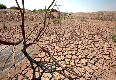 فاجعه در شمال کشور/  مازندران هم دچار خشکسالی شد