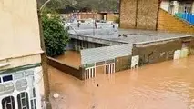 تعمیر ۳۵ هزار واحد سیل زده به پایان رسید