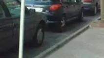 ◄ بررسی نرخ حق توقف پارکینگ های عمومی و پارک حاشیه ای در جلسه شورای شهر