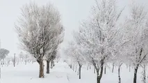 بارش برف و باران در ۱۲ استان/ هشدار نارنجی برای شهرهای ساحلی