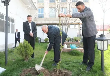غرس نهال توسط معاون وزیر راه و شهرسازی به یاد شهدای پل B1 کرج