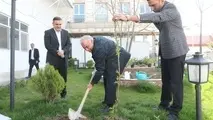 غرس نهال توسط معاون وزیر راه و شهرسازی به یاد شهدای پل B1 کرج