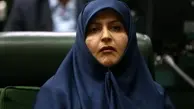 سیاووشی: ایران حضور قدرتمندانه خود را به‌دور از هرگونه تنش در منطقه حفظ کرده است