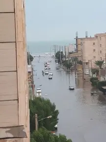 ساحل