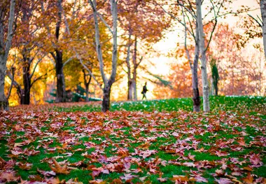 عکس| روی دیگر تهران 