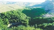 اسطرخی بهشت گمشده شیروان