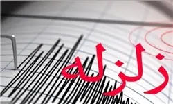 جزئیات زمین لرزه ۵.۹ ریشتری در بوشهر/ زلزله تلفات جانی نداشت