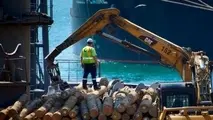 Six Workers Hospitalized after Incident at Napier Port
