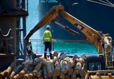 Six Workers Hospitalized after Incident at Napier Port
