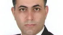 هلدینگ کمپانی راه آهن، ناسازگار با نظریات اقتصادی