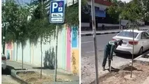 شهرداری در محل کشف پیکر بابک خرمدین «نهال حیات» کاشت