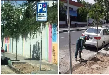 شهرداری در محل کشف پیکر بابک خرمدین «نهال حیات» کاشت