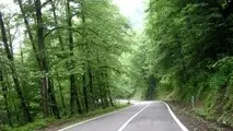 آغاز فنس‌کشی جاده عباس‌آباد تا آخر خرداد