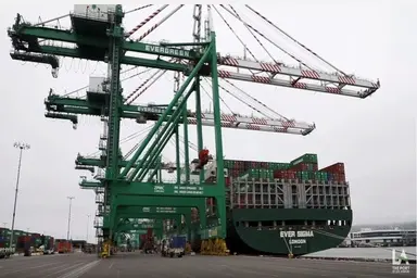  EU Soft Wheat Exports for 2025/26 Down 5%