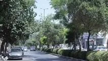 با ایجاد خیابان مشکلات ترافیکی حل نمی‌شود