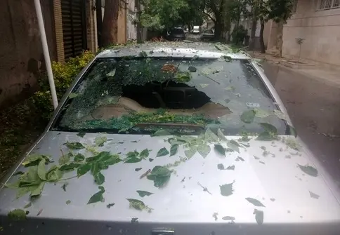 آسیب تگرگ به بسیاری از خودروهای سطح شهر مشهد