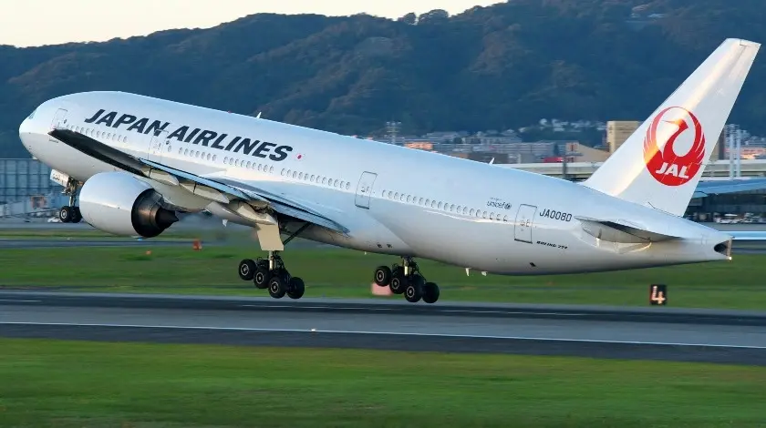 Japan Airlines Flight In Emergency Landing After Bird Strike