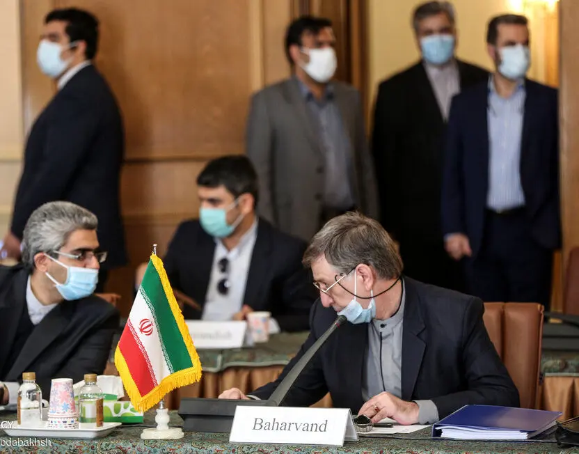 بهاروند: ایران درباره سانحه هواپیمای اوکراینی چیزی برای پنهان کردن ندارد