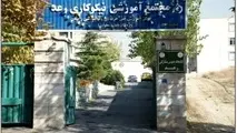 سازمانی از جنس عشق