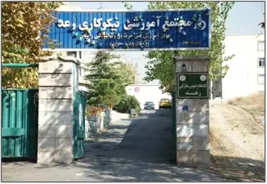 سازمانی از جنس عشق