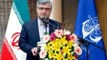 تاکنون هیچ‌گونه بیماری از بنادر وارد کشور نشده است