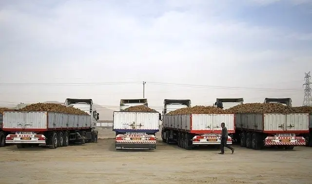 حمل محصولات کشاورزی گلستان با ۱۵ هزار دستگاه کامیون
