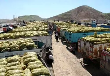 فیلم| صادرات سیب زمینی و پیاز از مرز پرویزخان