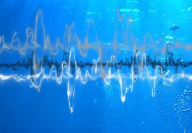European countries must take action to reduce underwater noise, report says