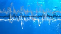 European countries must take action to reduce underwater noise, report says