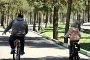 اصول بنیادین توسعه مبتنی بر حمل و نقل همگانی (TOD)؛ فراتر از بلندمرتبه سازی و پارکینگ خودرو
