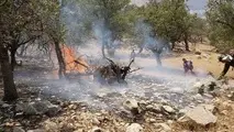 فیلم | فرار حیوانات از ترس آتش سوزی در منطقه خائیز