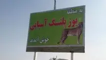 نقش یوزآسیایی برتابلوهای هشدار جاده‌ای / تلاش‌ برای داوم حیات‌وحش