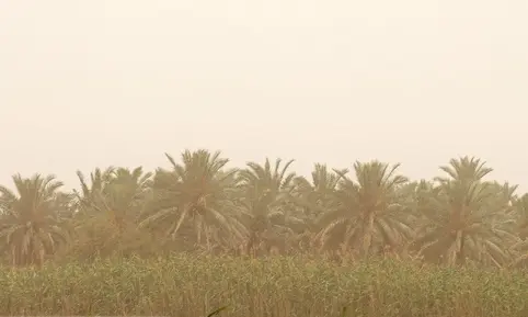گرد و خاک در آبادان