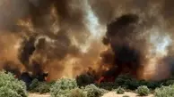 ۵۰ هزار اصله درخت و نهال جنگل کرخه در آتش سوخت